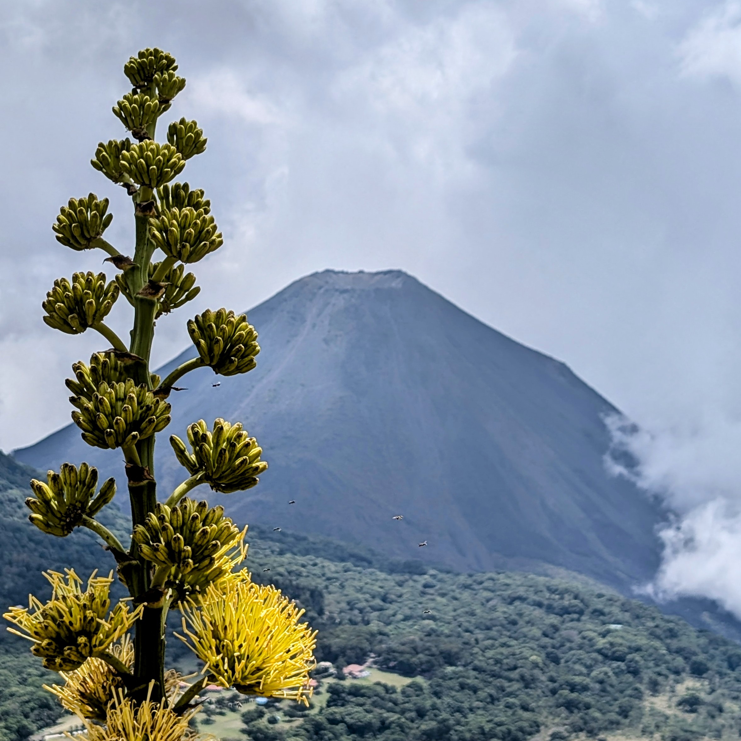Estilo de montaña